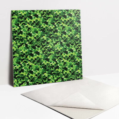 Öntapadós vinyl csempe Zöld saláta levelek