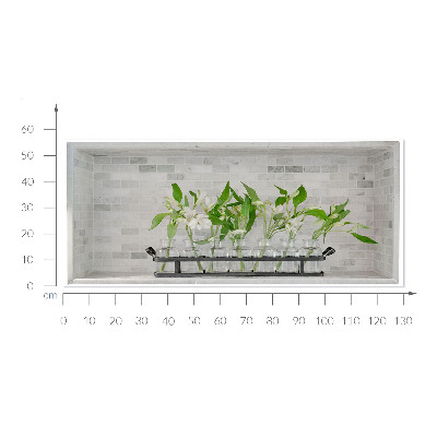 Optikai illúzió falmatrica 130x56 Virágok vázákban