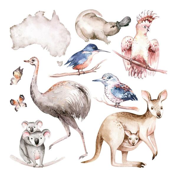 Falmatrica 130x164 Ausztrál fauna finom pasztell színekben