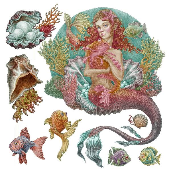 Falmatrica 60x60 Mermaid rajzfilm stílusú víz alatti kagylókkal