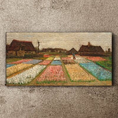 Vászonkép Tavaszi tulipán mezők