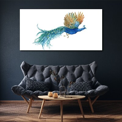 Vászonkép állati madár páva