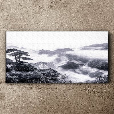 Vászonkép Hegyi erdei köd