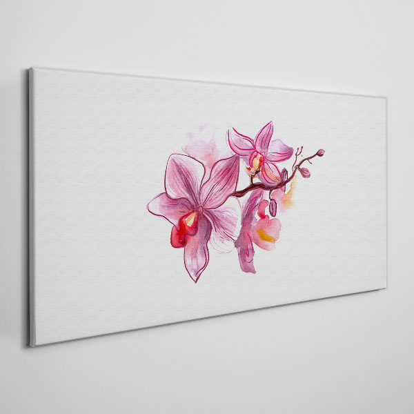 Vászonkép Rózsaszín orchideák fehér alapon
