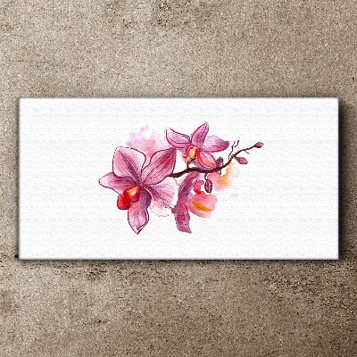 Vászonkép Rózsaszín orchideák fehér alapon