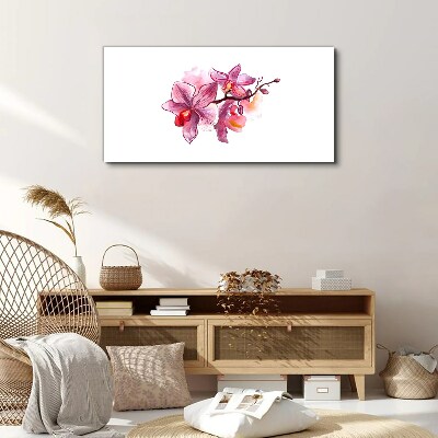 Vászonkép Rózsaszín orchideák fehér alapon