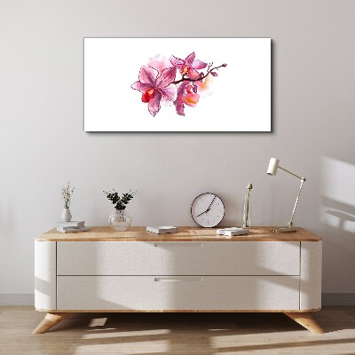 Vászonkép Rózsaszín orchideák fehér alapon