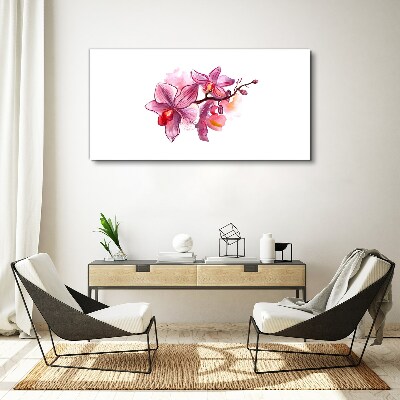 Vászonkép Rózsaszín orchideák fehér alapon