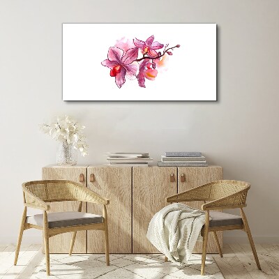 Vászonkép Rózsaszín orchideák fehér alapon