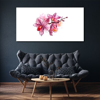 Vászonkép Rózsaszín orchideák fehér alapon