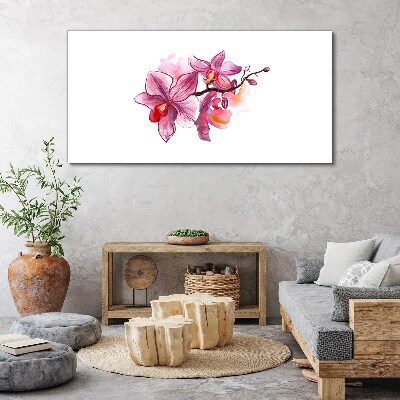Vászonkép Rózsaszín orchideák fehér alapon