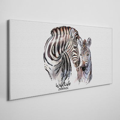 Vászonkép Zebra a vadonban