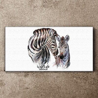 Vászonkép Zebra a vadonban