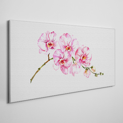 Vászonkép Rózsaszín orchideák fehér alapon