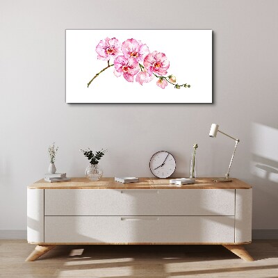 Vászonkép Rózsaszín orchideák fehér alapon