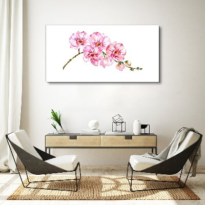 Vászonkép Rózsaszín orchideák fehér alapon