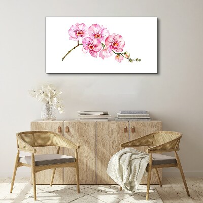 Vászonkép Rózsaszín orchideák fehér alapon
