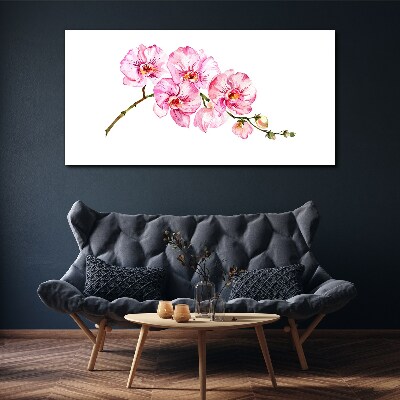 Vászonkép Rózsaszín orchideák fehér alapon