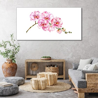 Vászonkép Rózsaszín orchideák fehér alapon