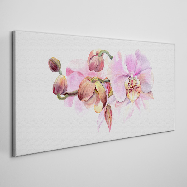 Vászonkép Orchidea pasztell árnyalatokban