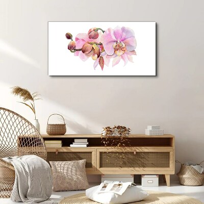 Vászonkép Orchidea pasztell árnyalatokban