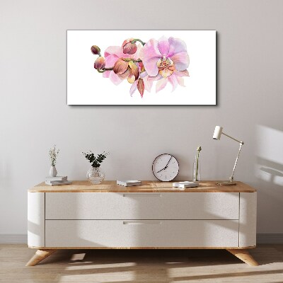 Vászonkép Orchidea pasztell árnyalatokban