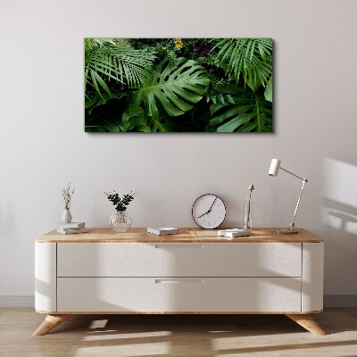 Vászonkép Trópusi dzsungel levelek