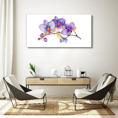 Vászonkép Az orchideák virágos szépsége