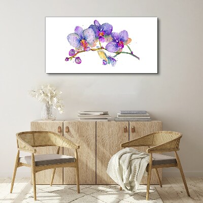Vászonkép Az orchideák virágos szépsége
