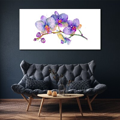 Vászonkép Az orchideák virágos szépsége