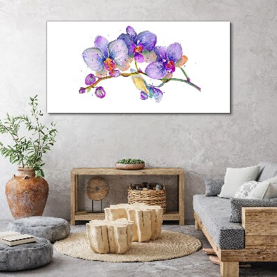 Vászonkép Az orchideák virágos szépsége