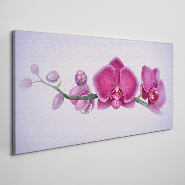 Vászonkép Orchideák a rózsaszín finom árnyalataiban
