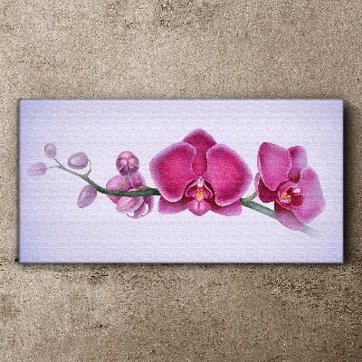 Vászonkép Orchideák a rózsaszín finom árnyalataiban