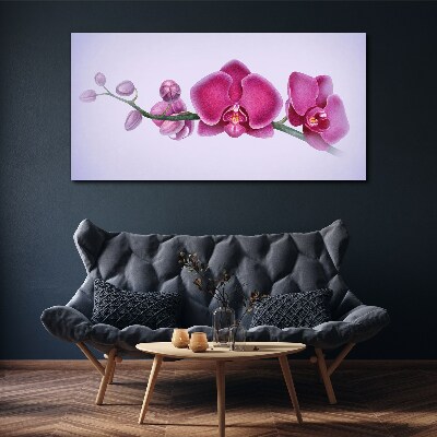 Vászonkép Orchideák a rózsaszín finom árnyalataiban