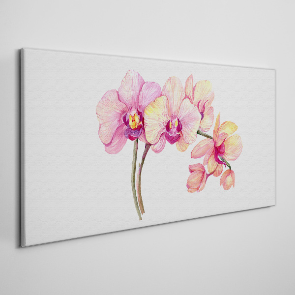 Vászonkép Az orchideák virágos szépsége