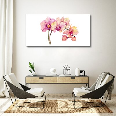 Vászonkép Az orchideák virágos szépsége