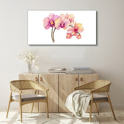 Vászonkép Az orchideák virágos szépsége