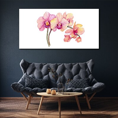 Vászonkép Az orchideák virágos szépsége