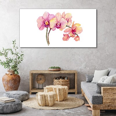 Vászonkép Az orchideák virágos szépsége