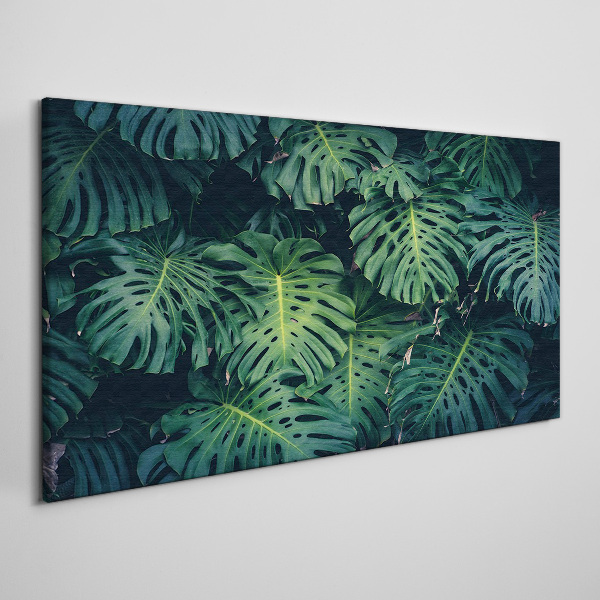 Vászonkép Trópusi zöld a Monstera levelekben