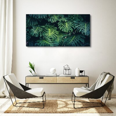 Vászonkép Trópusi zöld a Monstera levelekben