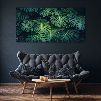 Vászonkép Trópusi zöld a Monstera levelekben
