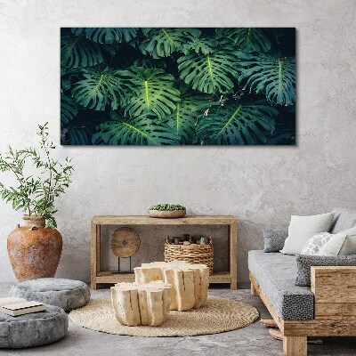Vászonkép Trópusi zöld a Monstera levelekben