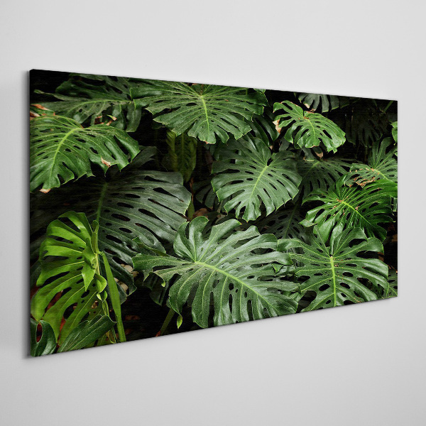 Vászonkép Trópusi Monstera levelek