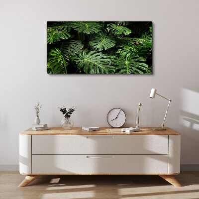 Vászonkép Trópusi Monstera levelek