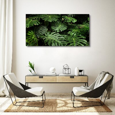 Vászonkép Trópusi Monstera levelek