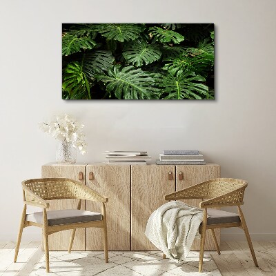 Vászonkép Trópusi Monstera levelek