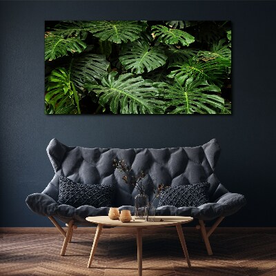 Vászonkép Trópusi Monstera levelek