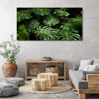 Vászonkép Trópusi Monstera levelek