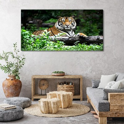 Vászonkép Erdei állat macska tigris